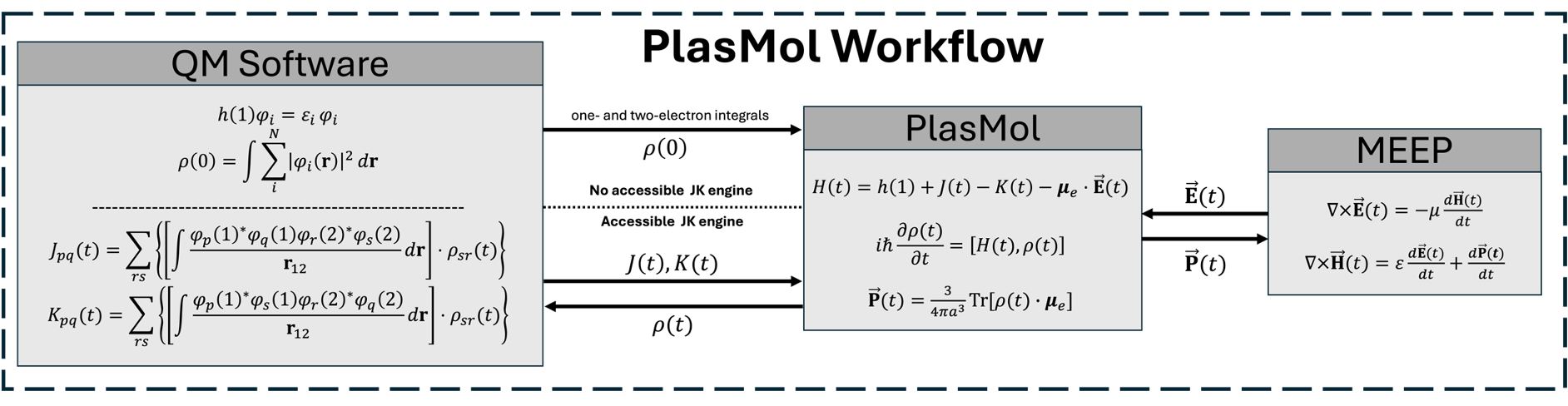 Plasmol Workflow